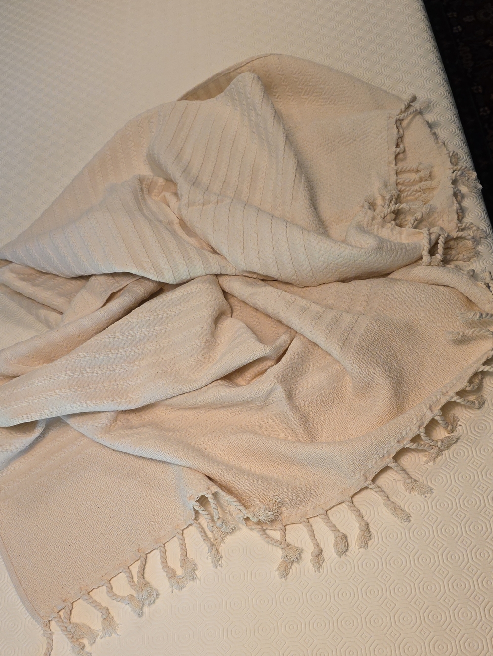 Peacock Alley Soft Cream Woven Throw Blanket with Fringe 38x62